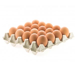 Dozen Eggs